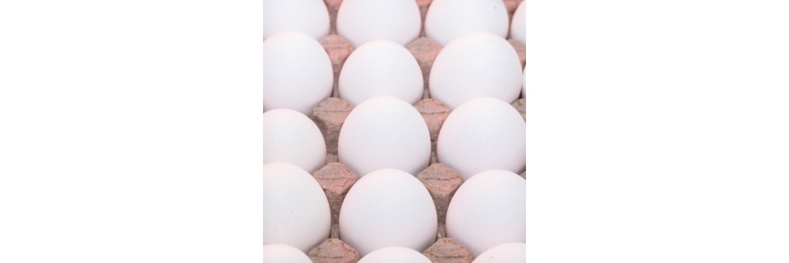 huevos